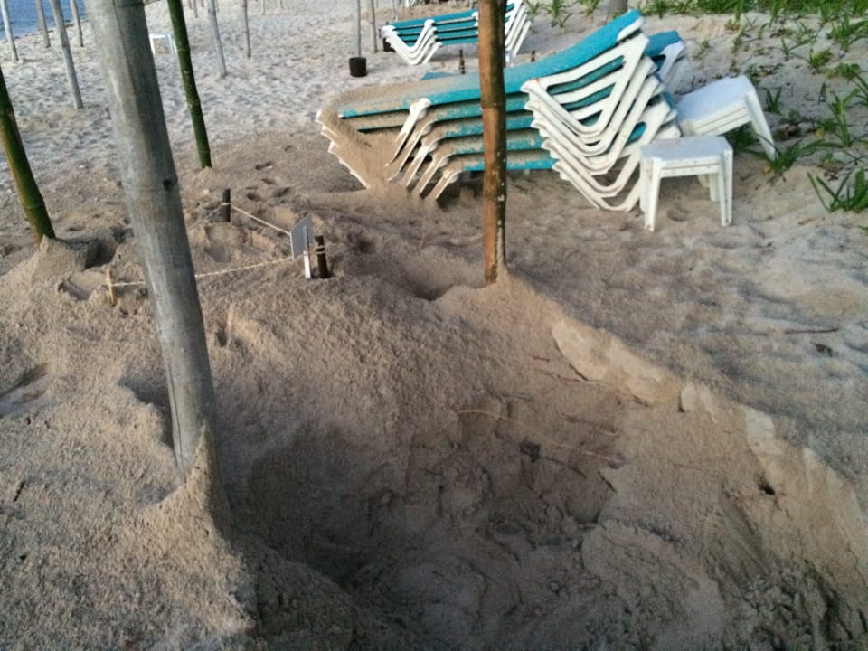 Strand Akumal Bay Beach & Wellness Resort