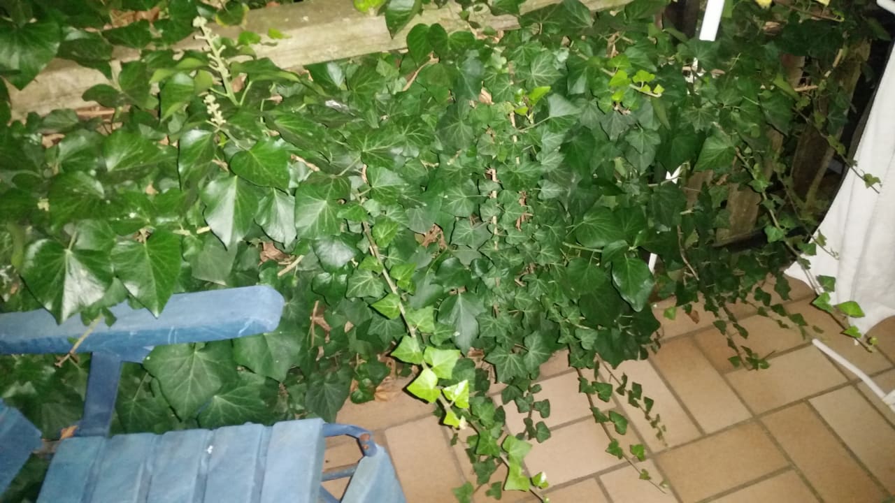 Zimmer Hotel Reiterhof Altmühlsee