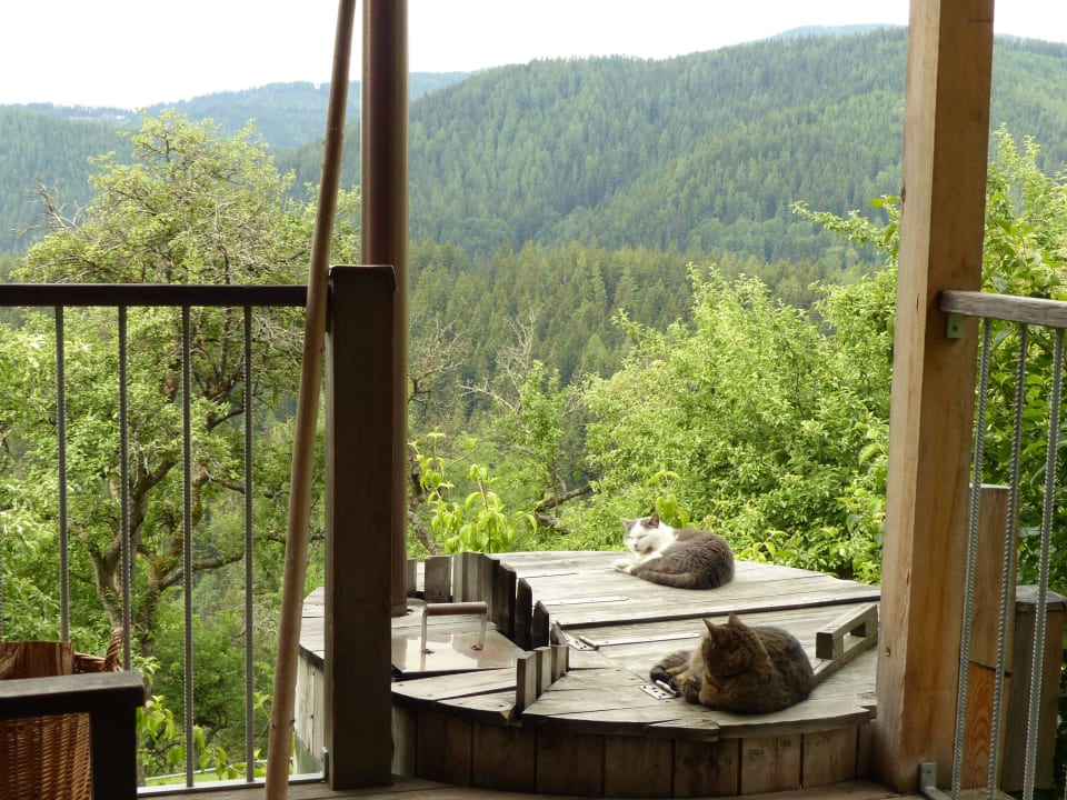 Relaxen am Hot Pot LUXGUT - OLIVIA