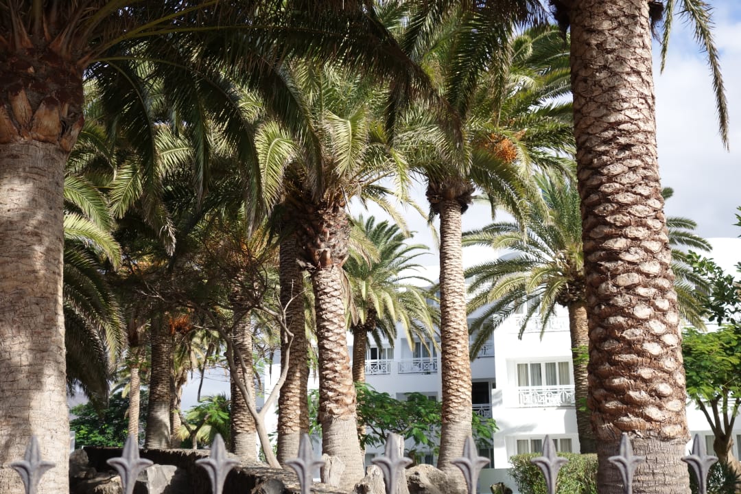 Gartenanlage Hipotels La Geria