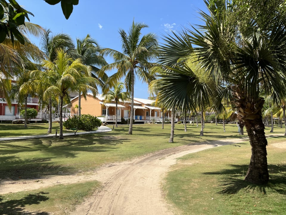 Gartenanlage Royalton Hicacos Resort & Spa - Adults only