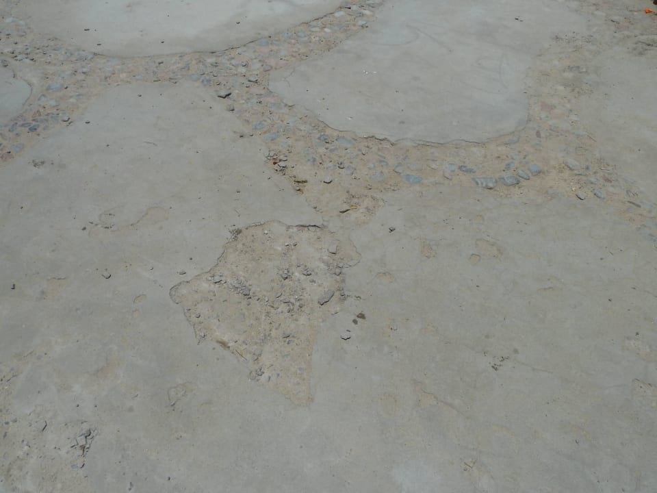 Kaputte Gehwege Desert Rose