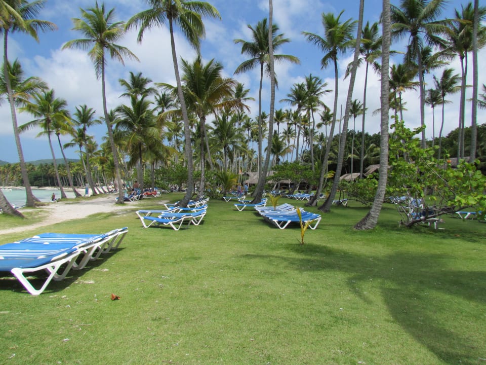 Liegewiese Wyndham Alltra Samana