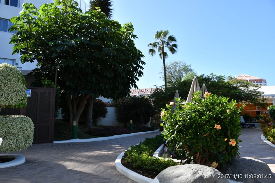 Gartenanlage H10 Las Palmeras