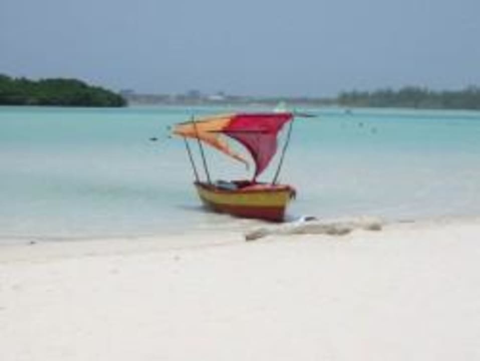Strand whala!boca chica
