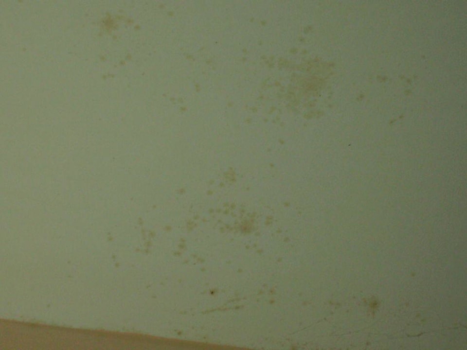 Schimmel überall an den Zimmerwänden und Decken Eden Club