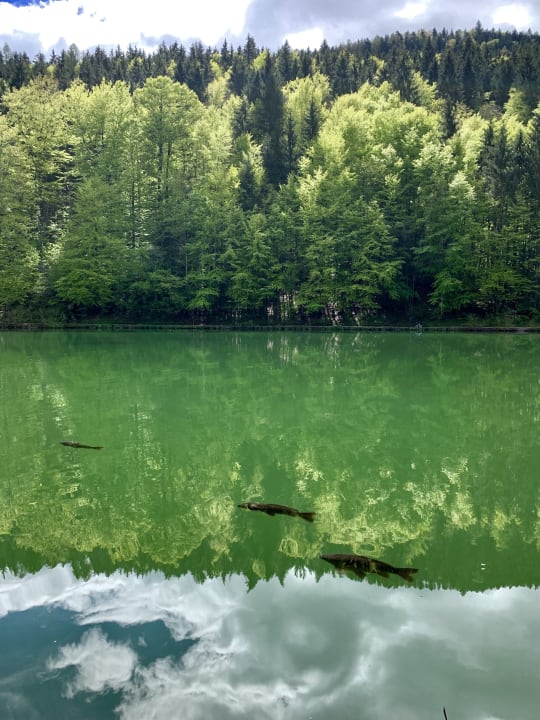 Sonstiges Riessersee Hotel