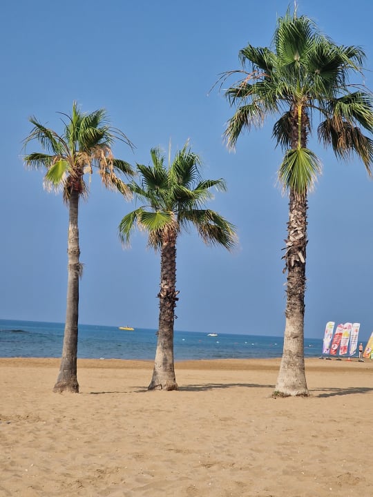 Strand Hotel Süral Resort