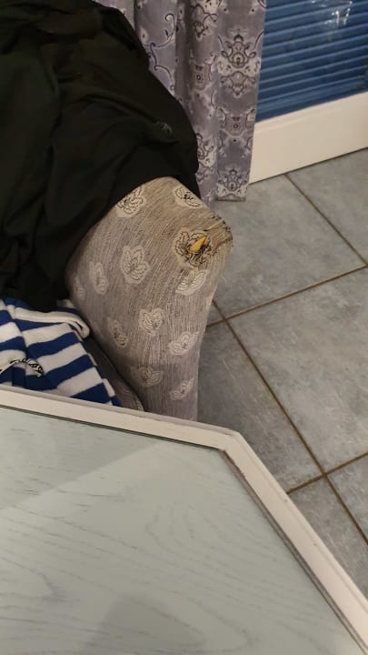 Zimmer Mitsis Summer Palace