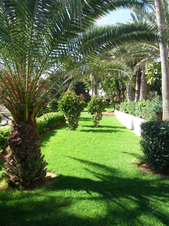 Garten Hotel Riu Oliva Beach Resort