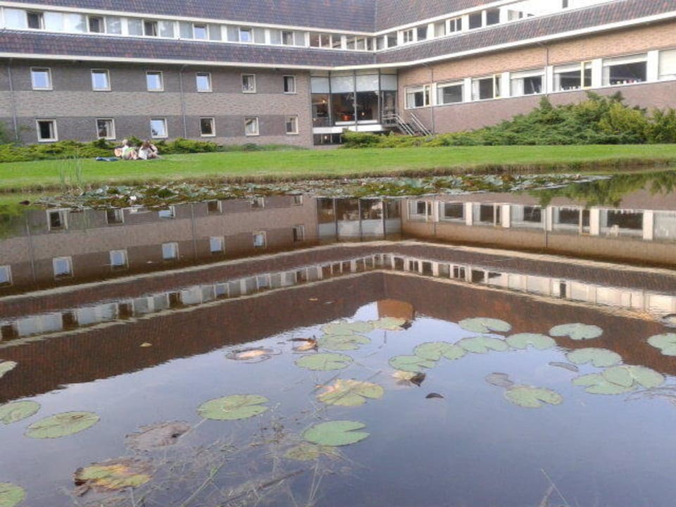 Hotel bliski naturze (widok z tyłu hotelu) Hotel Woudschoten Conferentiecentrum