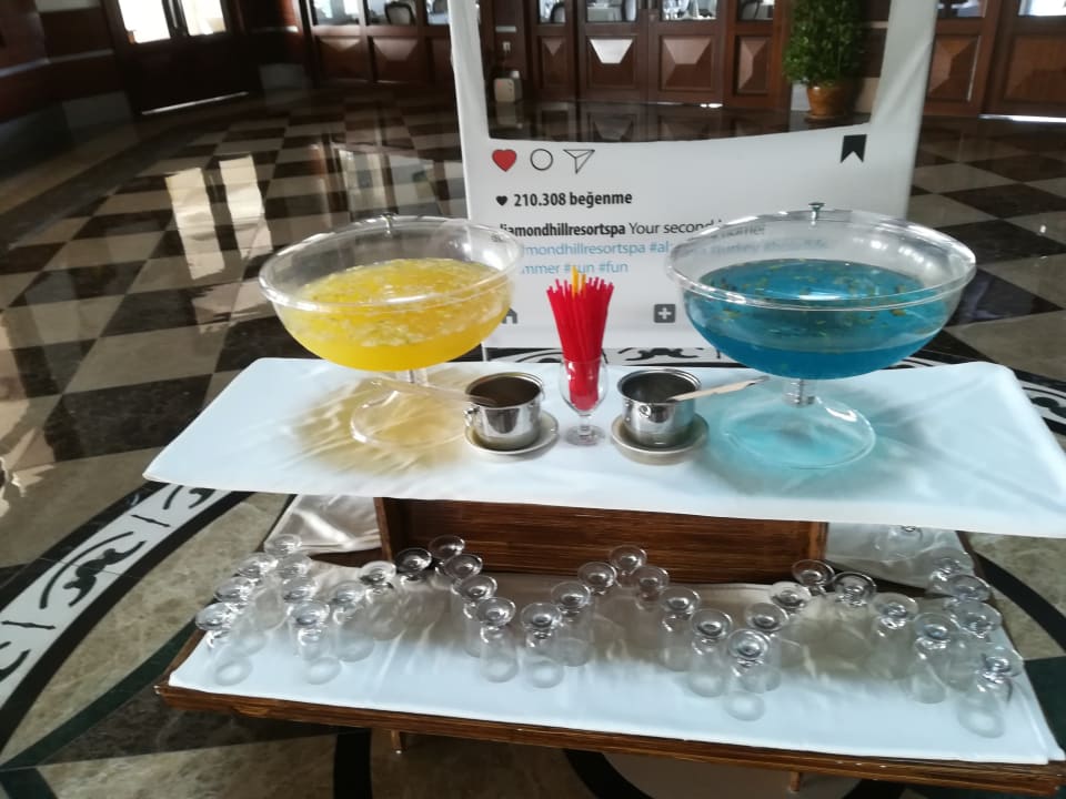 Lobby Diamond Hill Resort Hotel