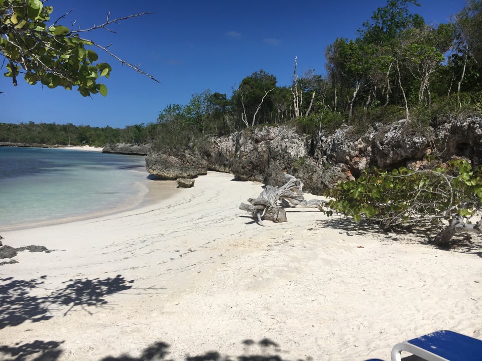 Strand Paradisus Rio de Oro Resort & Spa - Adults only
