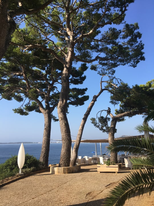 Gartenanlage Hipotels Eurotel Punta Rotja Golf & Spa