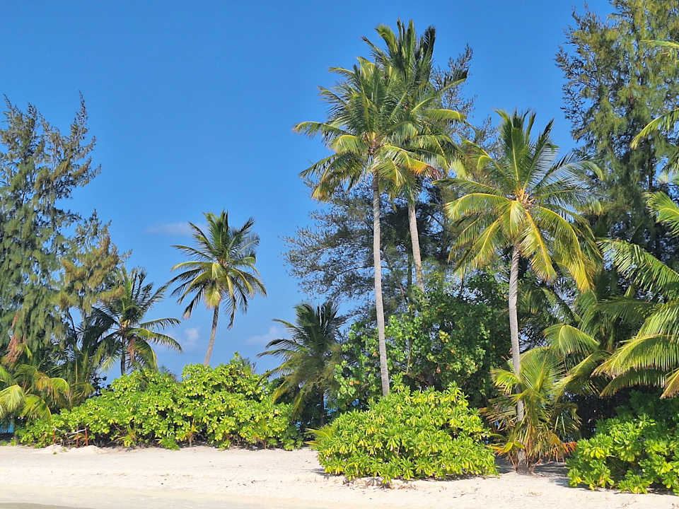 Strand Safari Island Maldives