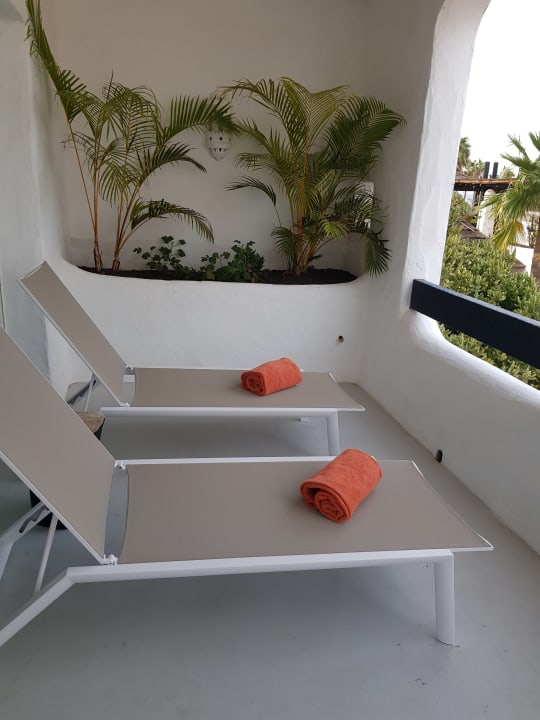 Zimmer Dreams Jardín Tropical