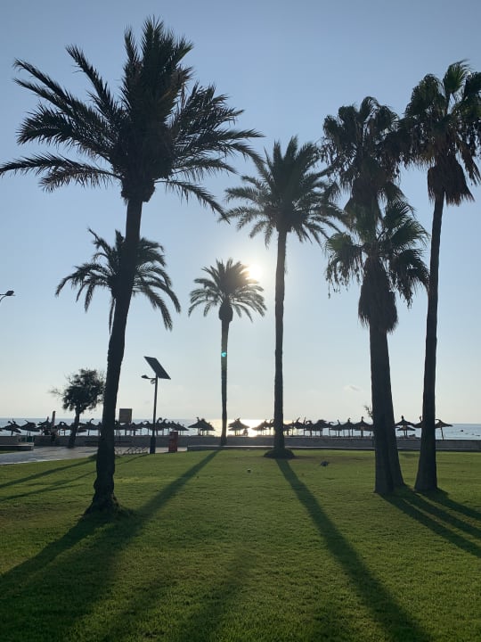 Gartenanlage allsun Hotel Bahia del Este