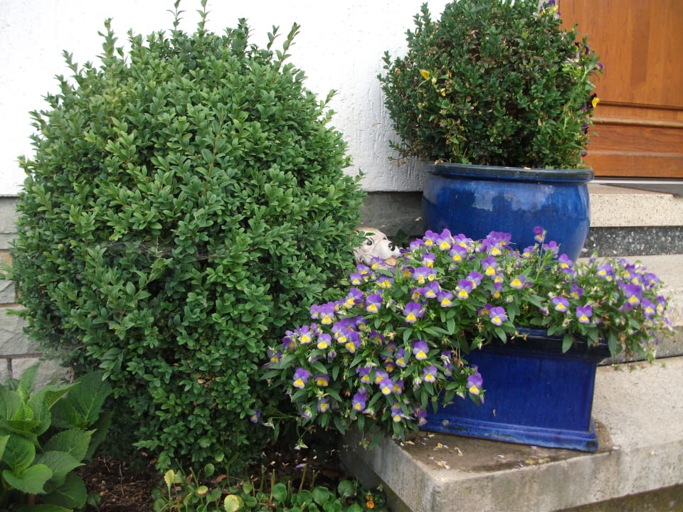 Sonstiges Wiesenberghof