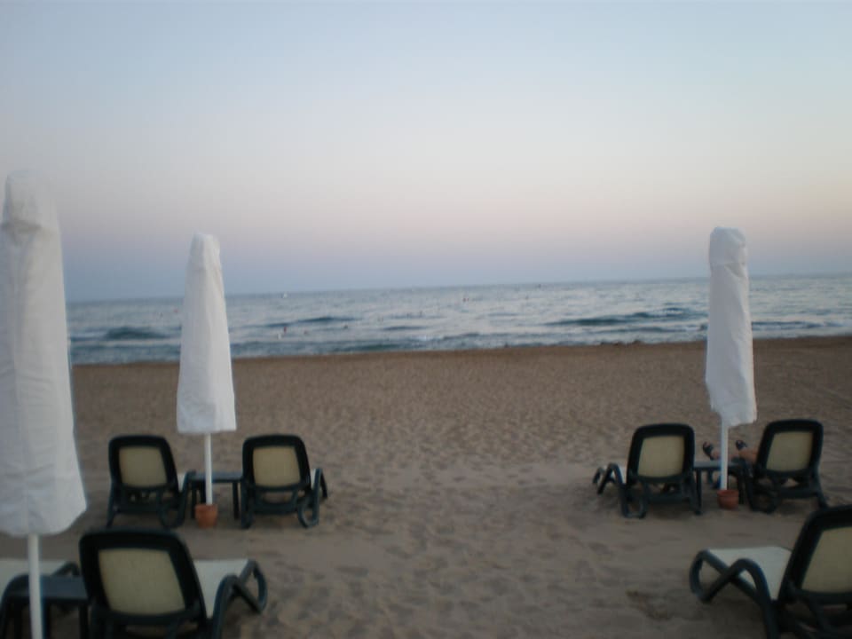 Liegen direkt am Meer Sentido Trendy Verbena Beach