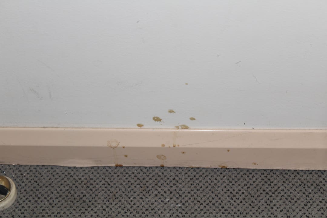 Zimmer Hotel Istra Plava Laguna