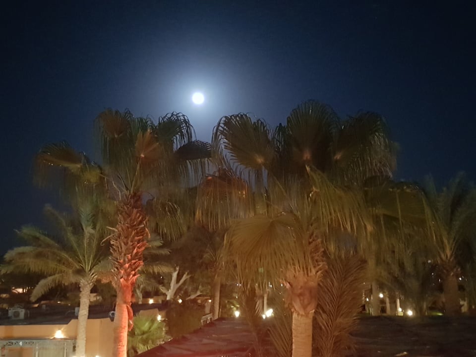 Ausblick Giftun Azur Resort