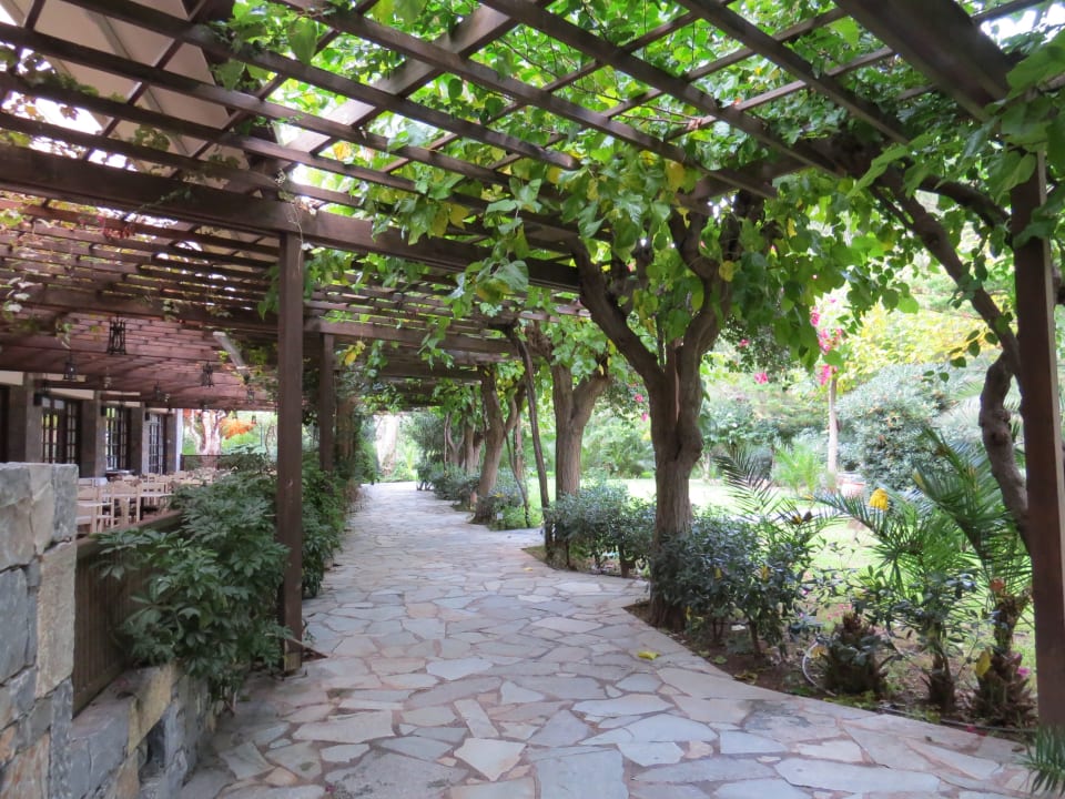Gartenanlage Apollonia Beach Resort & Spa