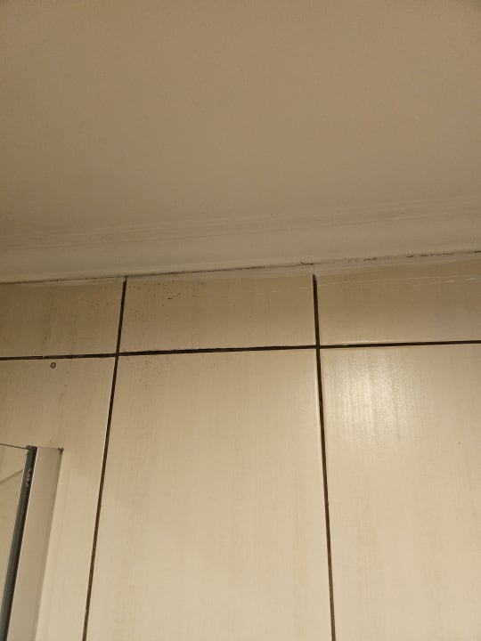 Zimmer Asteria Family Belek