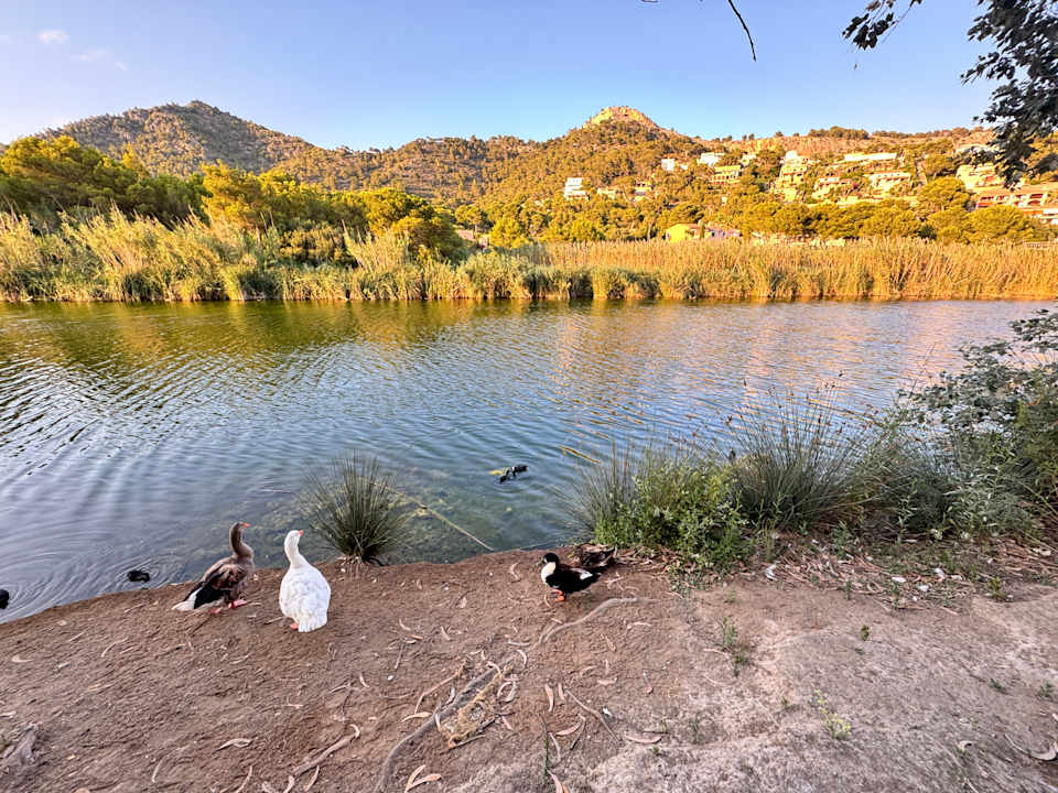 Sonstiges Universal Hotel Castell Royal