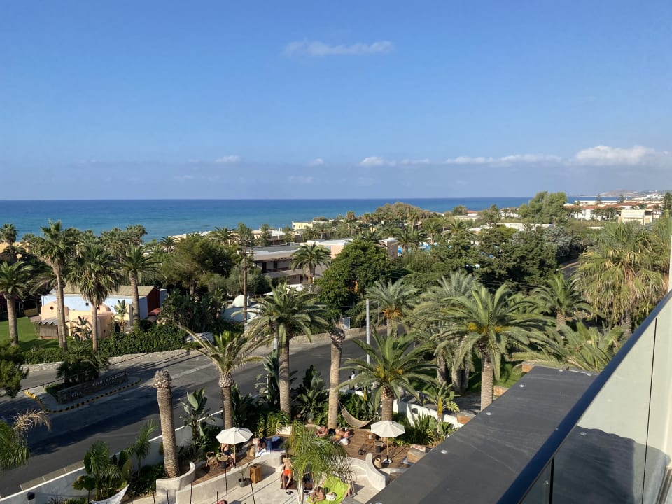 Ausblick The Syntopia