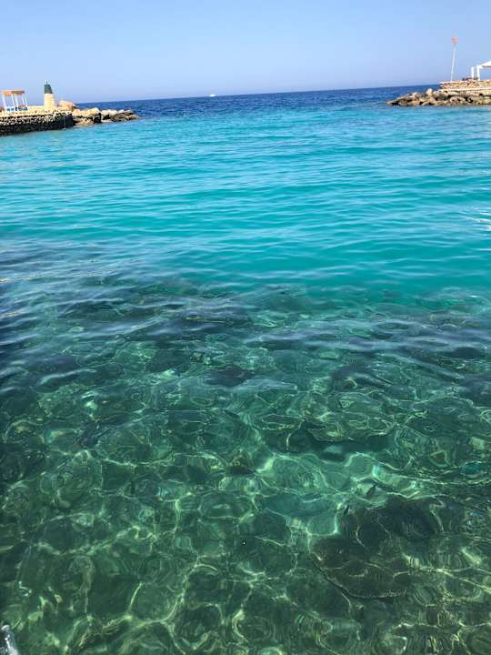 Strand Pickalbatros Citadel Resort