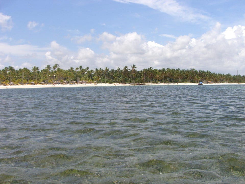 Katamaran Catalonia Royal Bavaro - Adults only