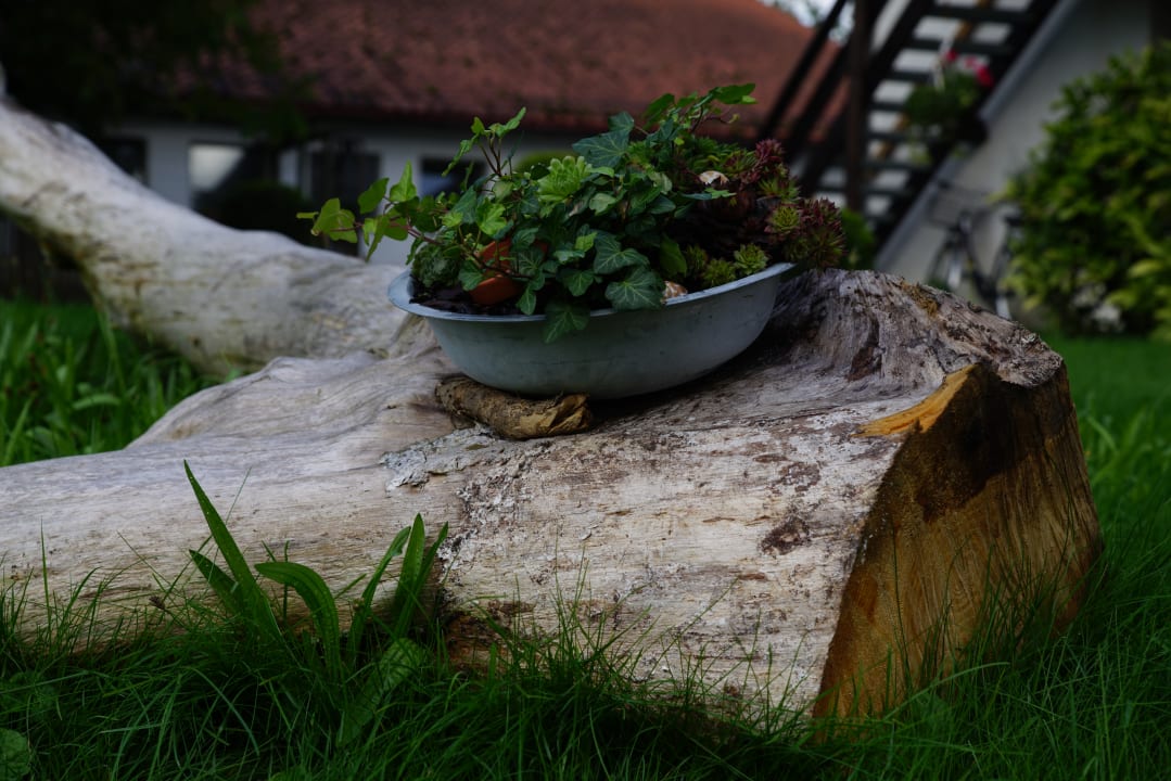 Gartenanlage Ferienhof Schmid