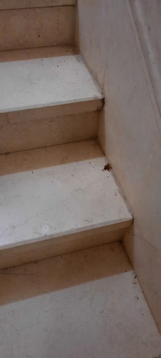 Sonstiges Makadi Spa - Adults only