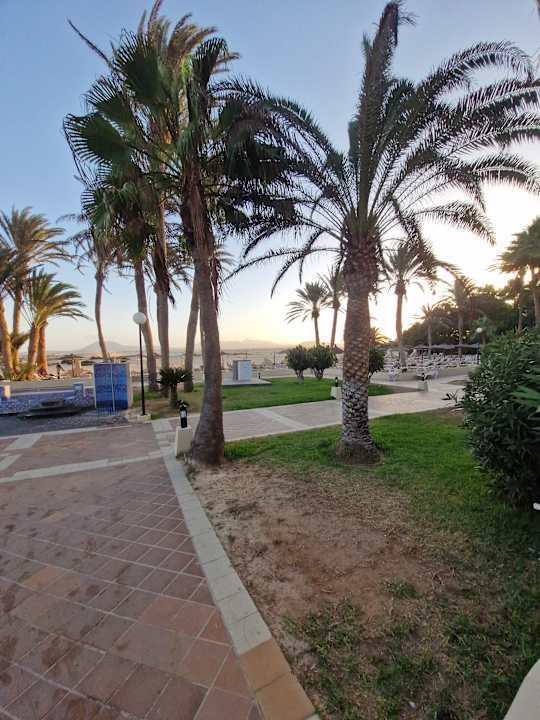 Gartenanlage Hotel Riu Oliva Beach - Hotel