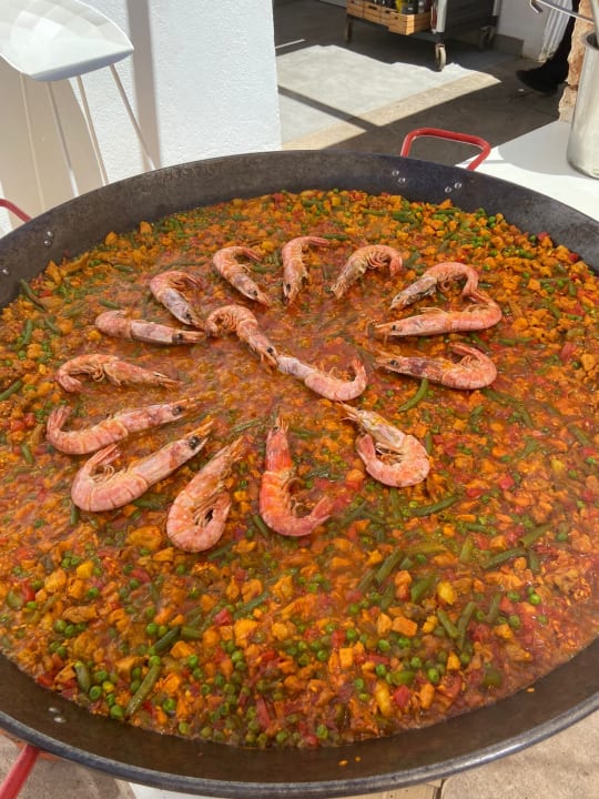 Gartenanlage AluaSoul Mallorca Resort