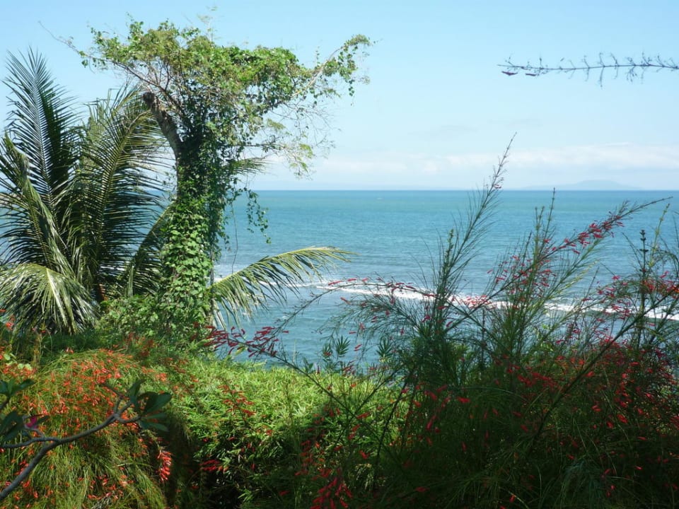 Meerblick vom Pool Hotel Candikusuma Beach Villas