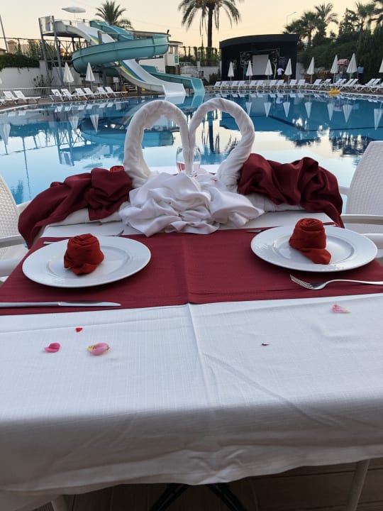 Gastro Palm World Side Resort & Spa