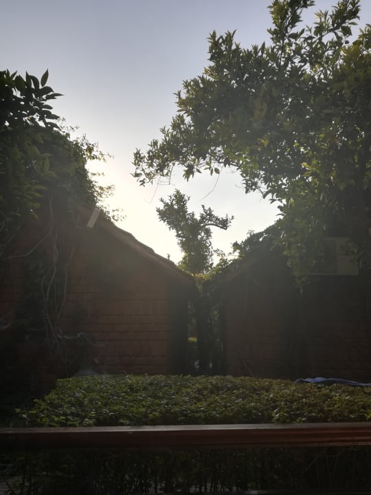 Zimmer Can Garden Beach