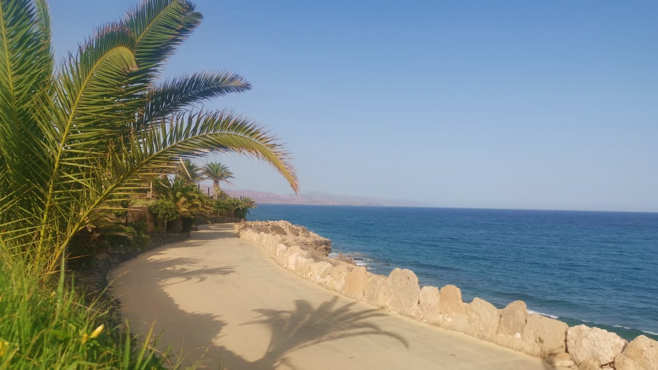 Ausblick R2 Pajara Beach