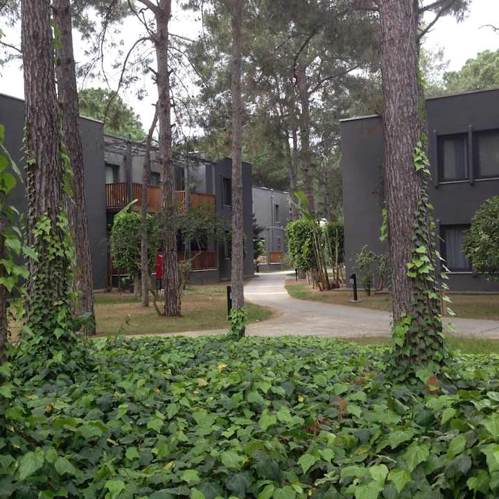 Villen Balmy Foresta