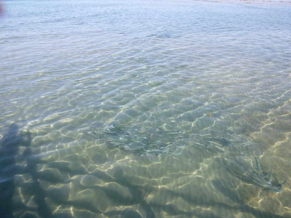 Strand Cleopatra Luxury Resort Makadi Bay