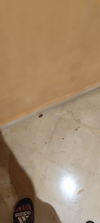 Lobby El Ksar Resort & Thalasso