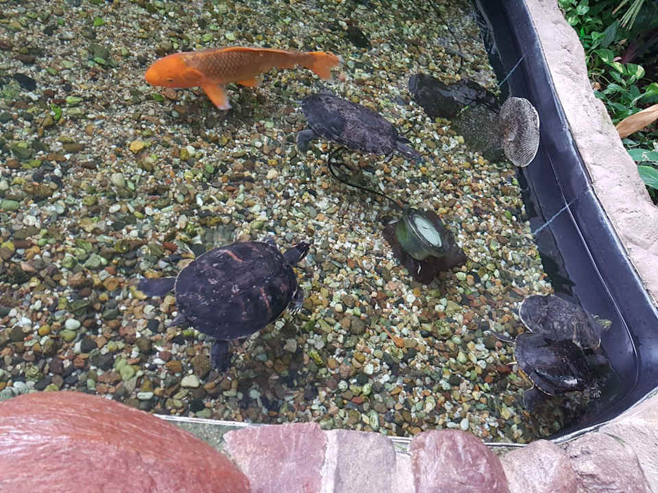 Sonstiges Tropical Islands Resort