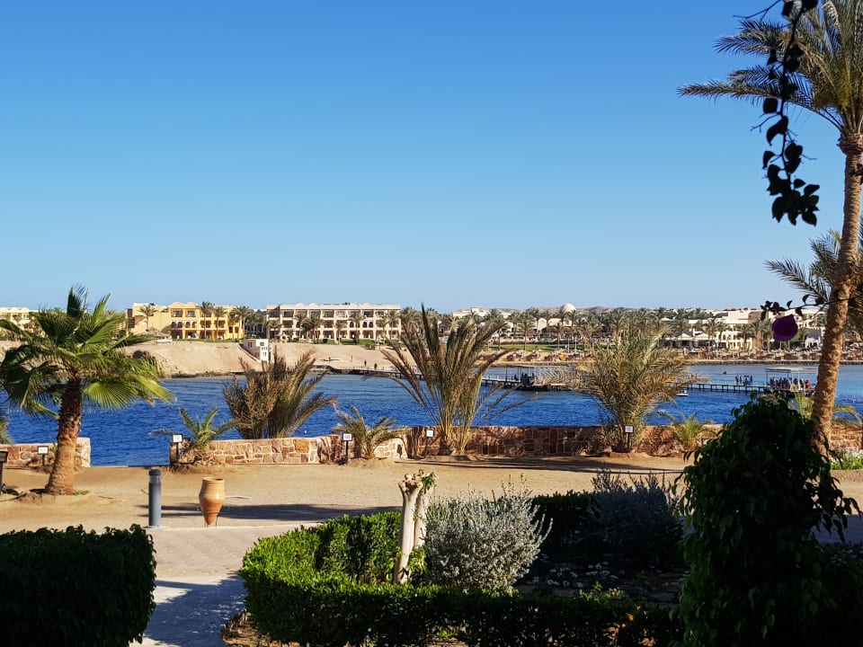 Ausblick Steigenberger Coraya Beach - Adults only