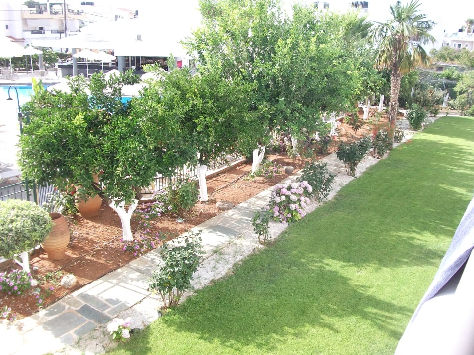 Gartenanlage Hotel Malia Holidays