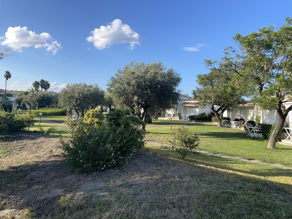 Gartenanlage TH Simeri - Simeri Village