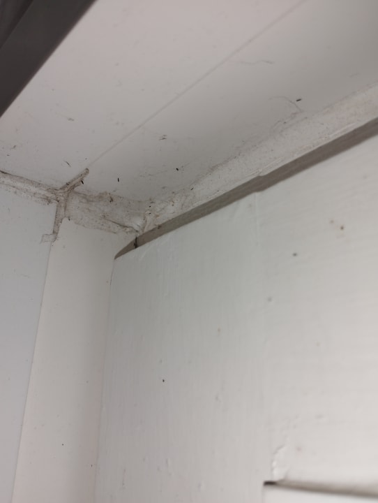 Zimmer Ferienwohnungen Ferienpark Weissenhäuser Strand