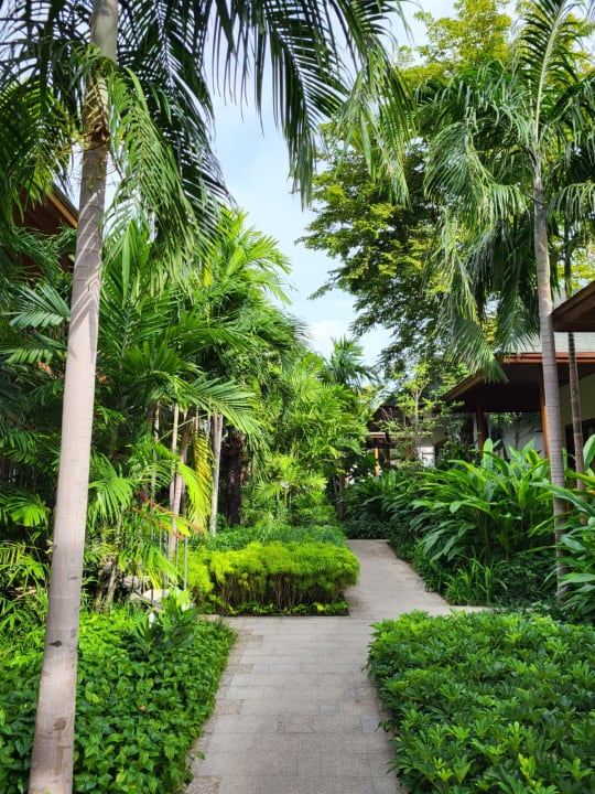 Gartenanlage Banana Fan Sea Resort