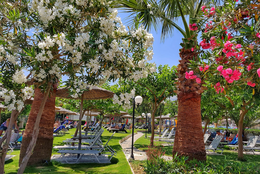 Gartenanlage Corissia Beach Hotel