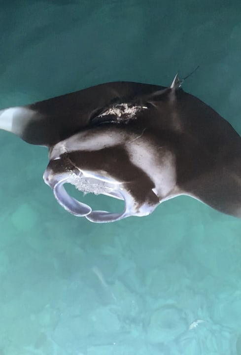 Außenansicht Villa Park Sun Island